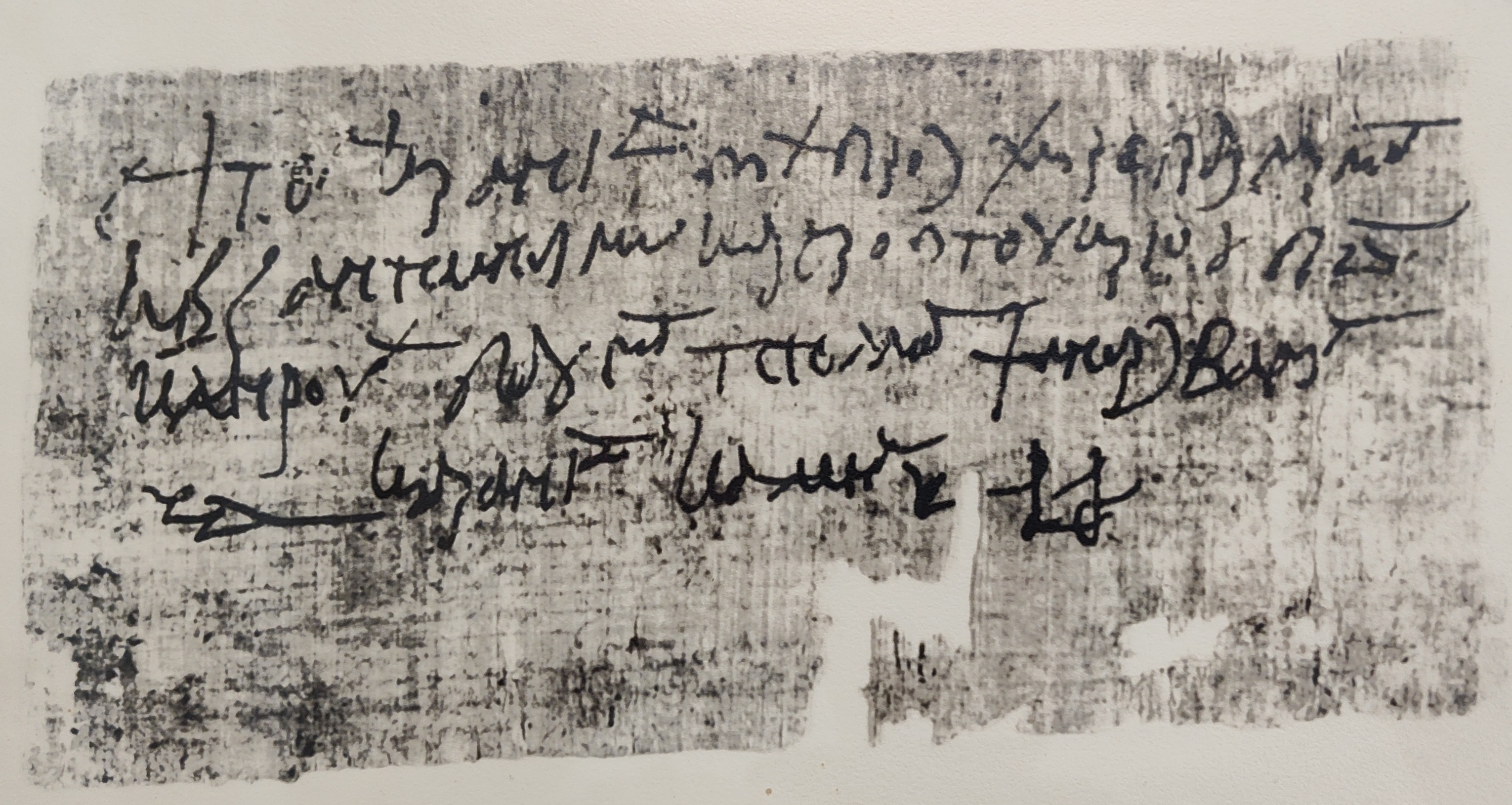 replica of a papyrus discovered from Karanis, Egypt.